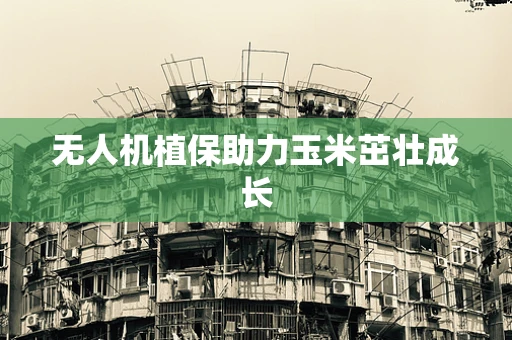 无人机植保助力玉米茁壮成长