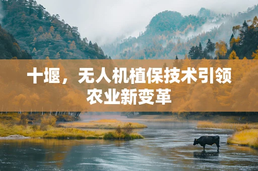 十堰，无人机植保技术引领农业新变革