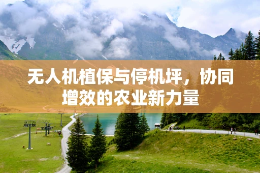 无人机植保与停机坪，协同增效的农业新力量