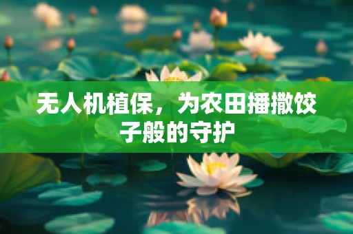 无人机植保，为农田播撒饺子般的守护