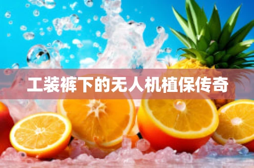 工装裤下的无人机植保传奇