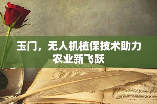 玉门，无人机植保技术助力农业新飞跃