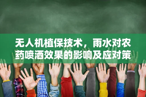 无人机植保技术，雨水对农药喷洒效果的影响及应对策略