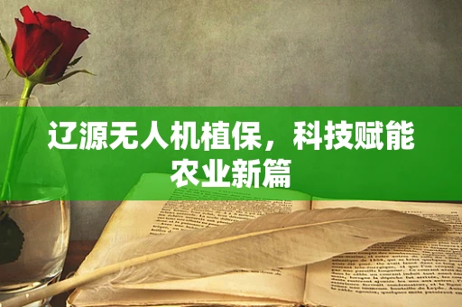 辽源无人机植保，科技赋能农业新篇