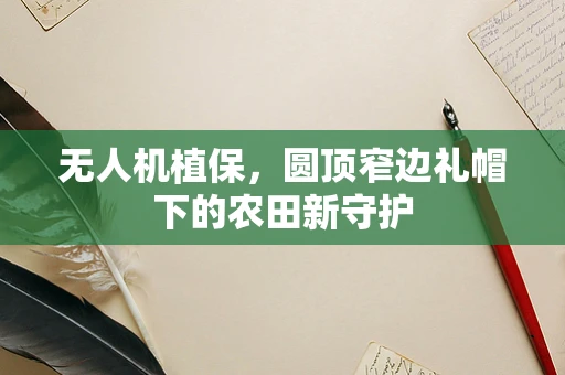 无人机植保，圆顶窄边礼帽下的农田新守护