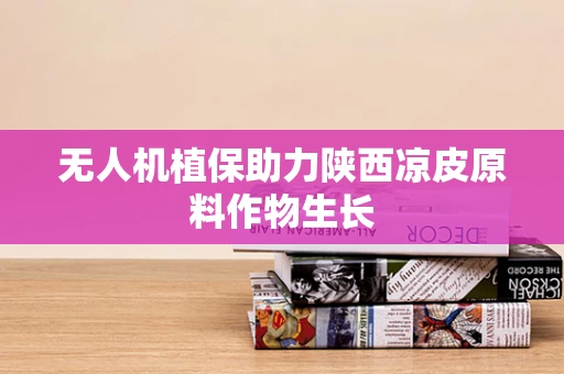 无人机植保助力陕西凉皮原料作物生长