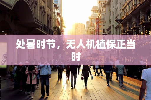 处暑时节，无人机植保正当时