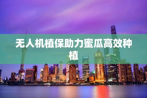 无人机植保助力蜜瓜高效种植