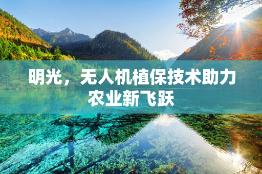 明光，无人机植保技术助力农业新飞跃