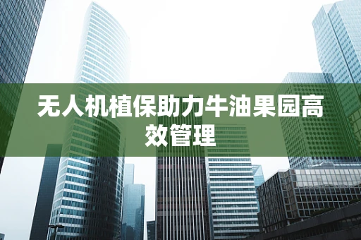 无人机植保助力牛油果园高效管理