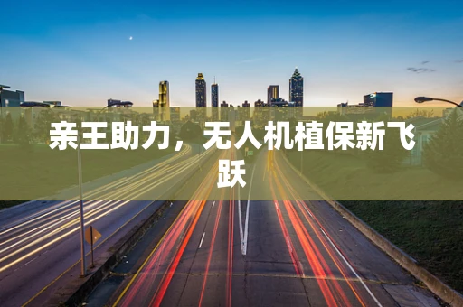 亲王助力，无人机植保新飞跃