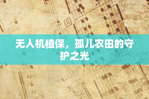 无人机植保，孤儿农田的守护之光