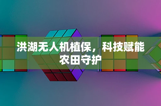 洪湖无人机植保，科技赋能农田守护