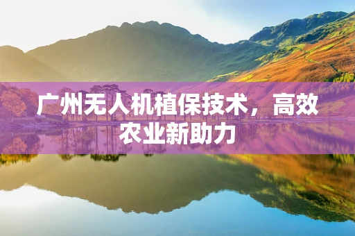广州无人机植保技术，高效农业新助力