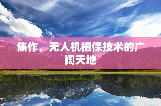 焦作，无人机植保技术的广阔天地