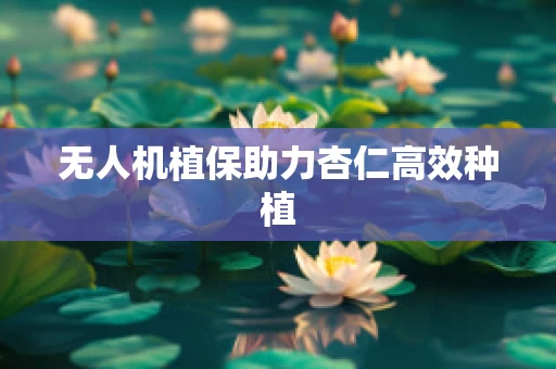无人机植保助力杏仁高效种植