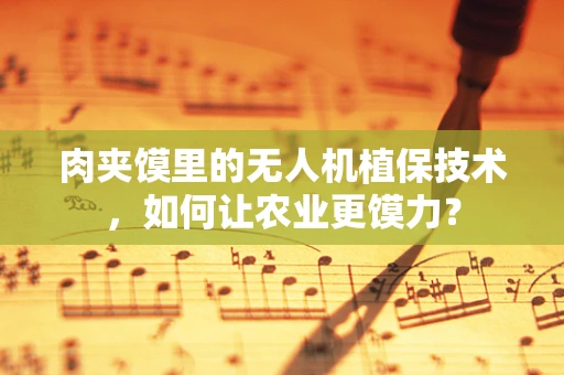 肉夹馍里的无人机植保技术，如何让农业更馍力？