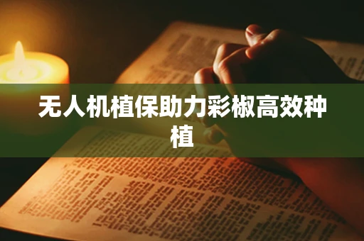 无人机植保助力彩椒高效种植