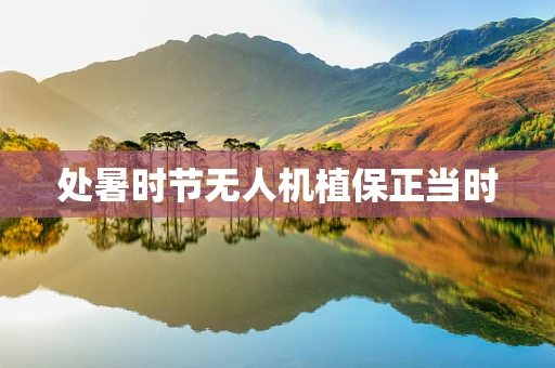 处暑时节无人机植保正当时