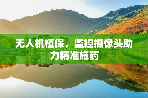 无人机植保，监控摄像头助力精准施药