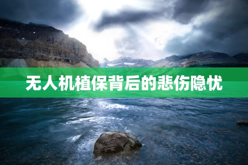 无人机植保背后的悲伤隐忧