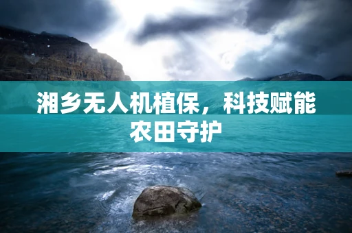 湘乡无人机植保，科技赋能农田守护