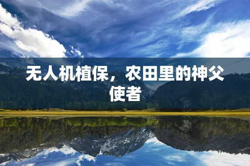 无人机植保，农田里的神父使者