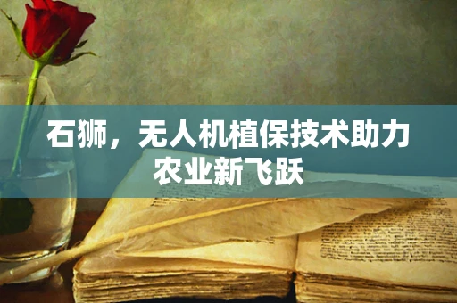石狮，无人机植保技术助力农业新飞跃