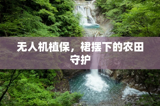 无人机植保，裙摆下的农田守护