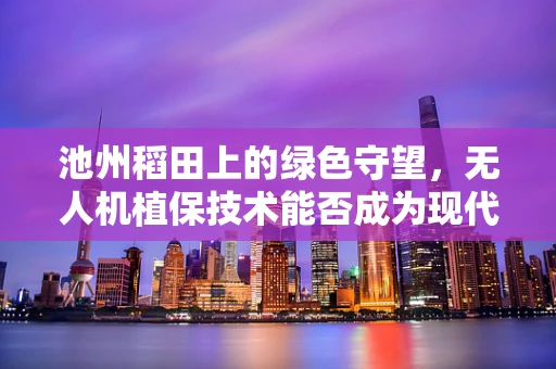 池州稻田上的绿色守望，无人机植保技术能否成为现代农业的新‘飞’行者？