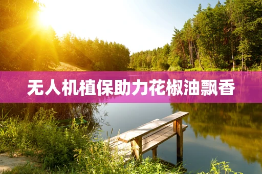 无人机植保助力花椒油飘香