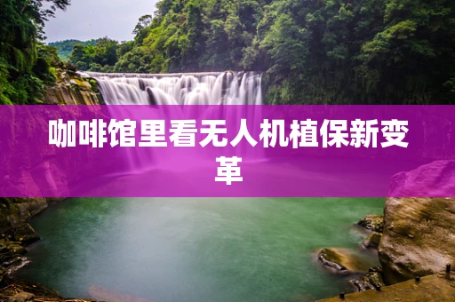咖啡馆里看无人机植保新变革