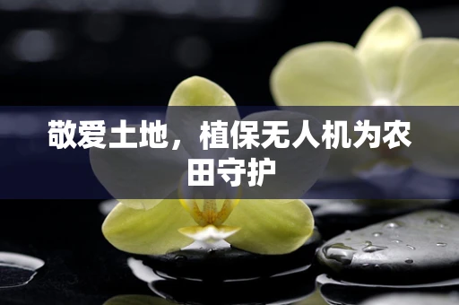 敬爱土地，植保无人机为农田守护