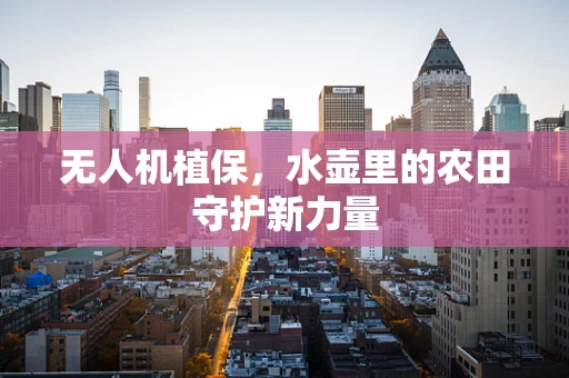 无人机植保，水壶里的农田守护新力量