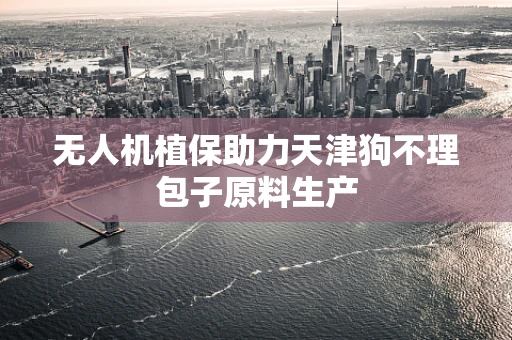 无人机植保助力天津狗不理包子原料生产