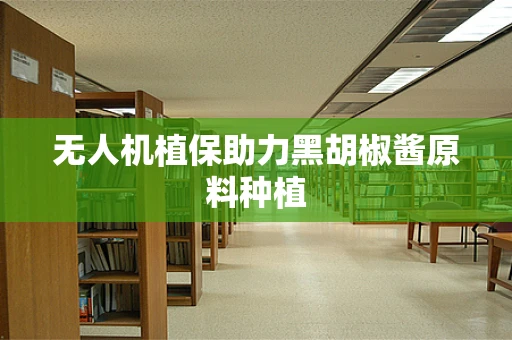 无人机植保助力黑胡椒酱原料种植