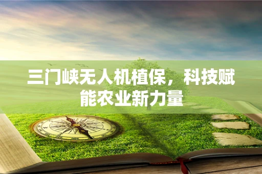 三门峡无人机植保，科技赋能农业新力量