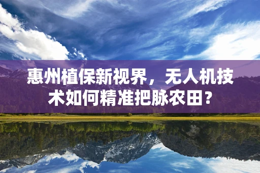 惠州植保新视界，无人机技术如何精准把脉农田？