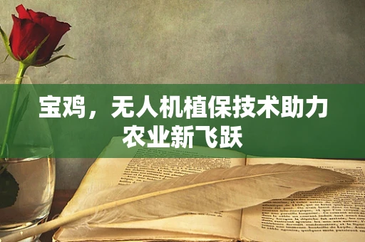 宝鸡，无人机植保技术助力农业新飞跃