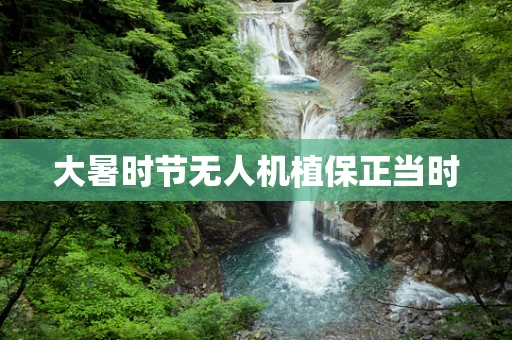 大暑时节无人机植保正当时