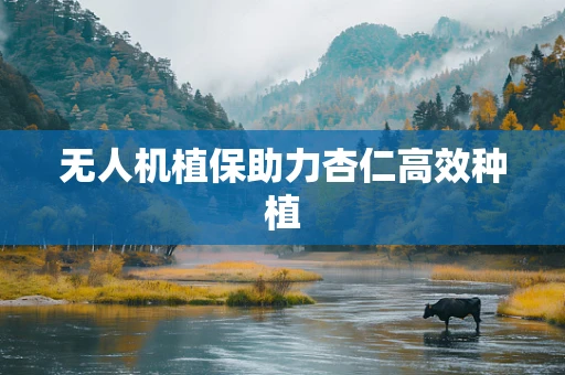 无人机植保助力杏仁高效种植