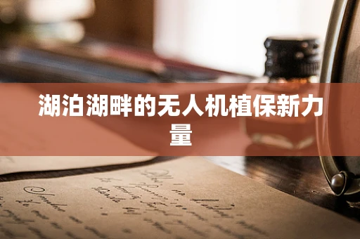 湖泊湖畔的无人机植保新力量