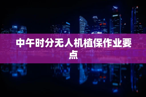 中午时分无人机植保作业要点