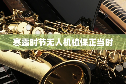 寒露时节无人机植保正当时