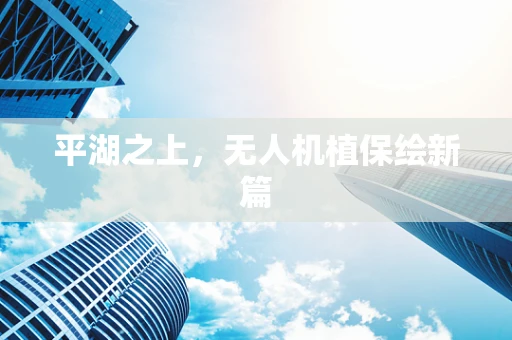 平湖之上，无人机植保绘新篇
