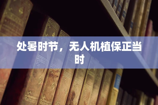 处暑时节，无人机植保正当时