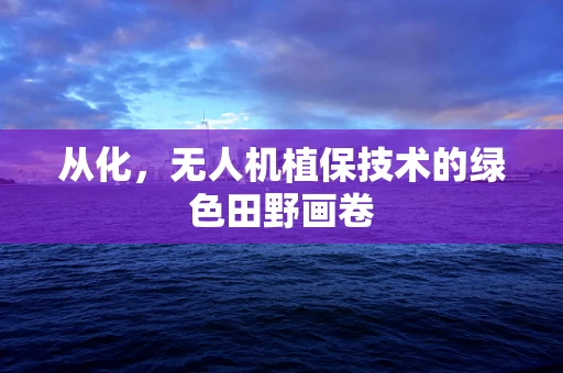 从化，无人机植保技术的绿色田野画卷