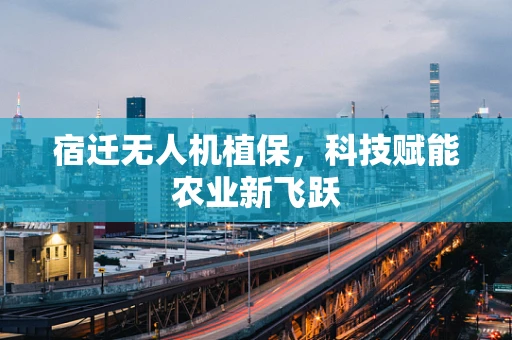 宿迁无人机植保，科技赋能农业新飞跃
