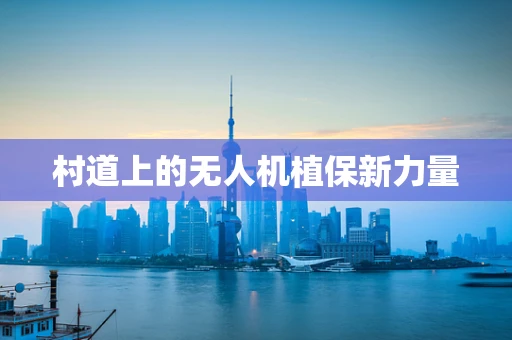 村道上的无人机植保新力量
