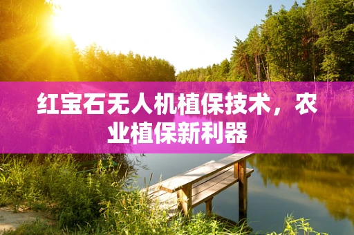 红宝石无人机植保技术，农业植保新利器
